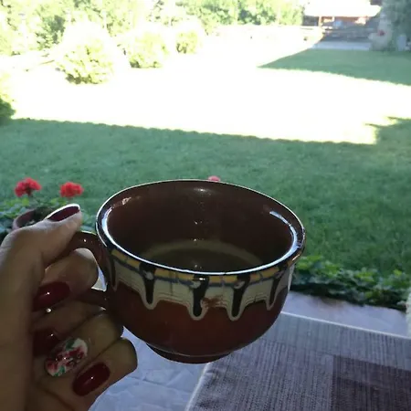 Penzion радкината къща