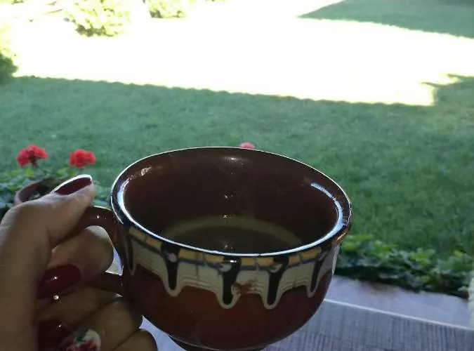 בית הארחה радкината къща